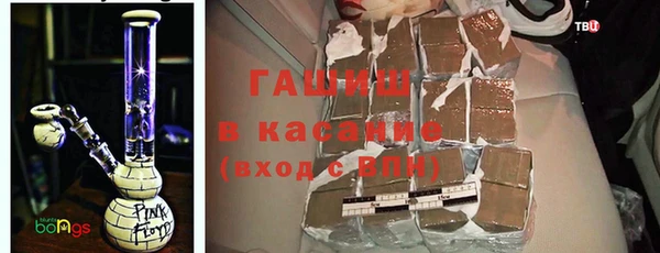 индика Краснослободск
