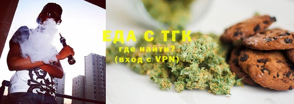 индика Краснослободск