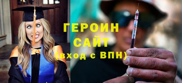 индика Краснослободск