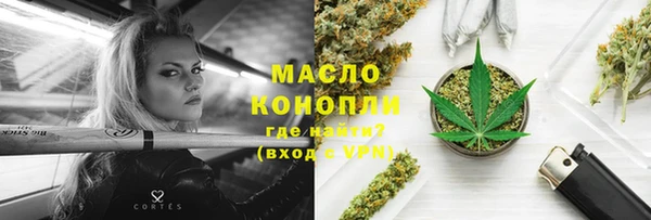 индика Краснослободск