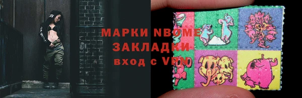 индика Краснослободск