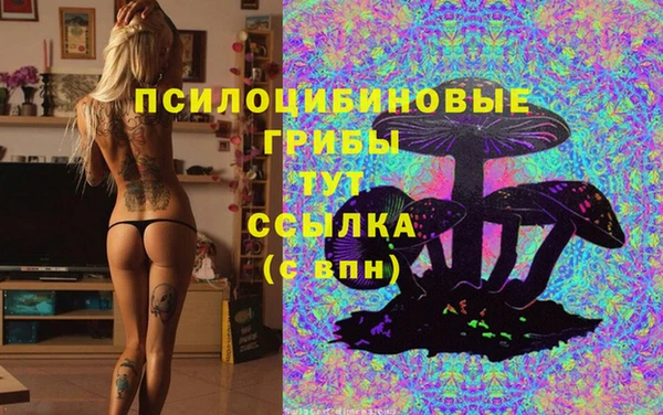 индика Краснослободск