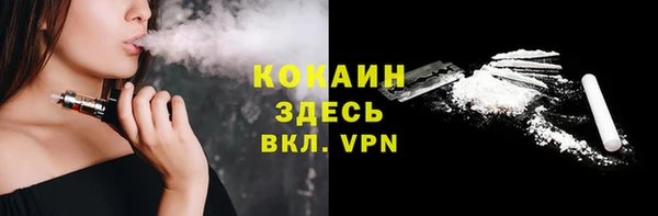 индика Краснослободск