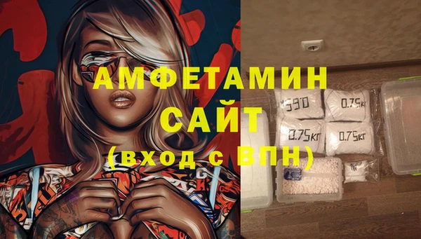 индика Краснослободск