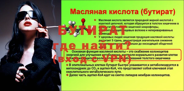 индика Краснослободск