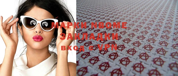 индика Краснослободск