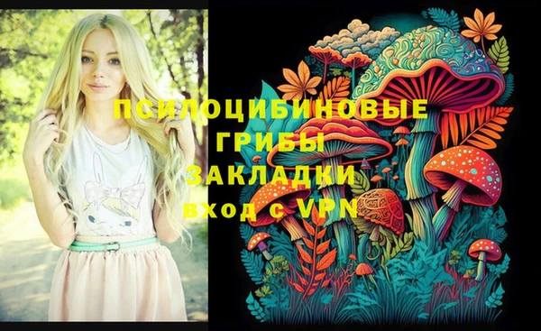 индика Краснослободск