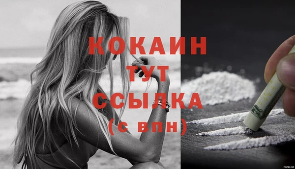 индика Краснослободск