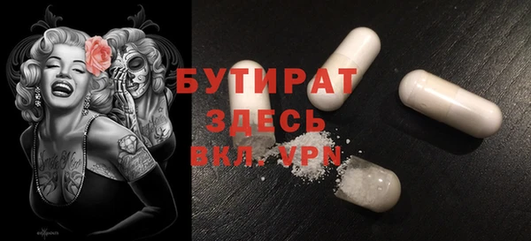 индика Краснослободск