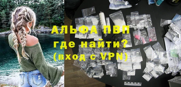 индика Краснослободск