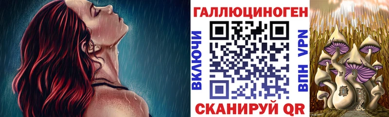 Купить где  Горячеводский  Псилоцибиновые грибы ЛСД 